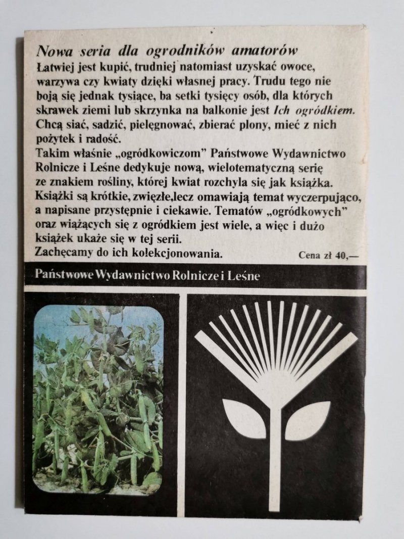 WARZYWA BOGATE W BIAŁKO. GROCH, FASOLA, BÓB 