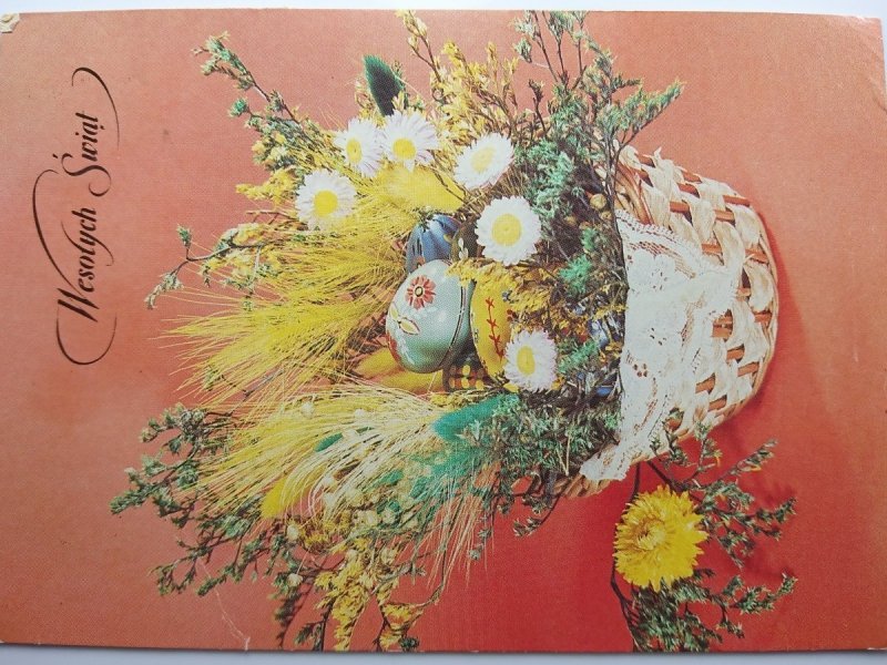 FOT. A. JANICKA