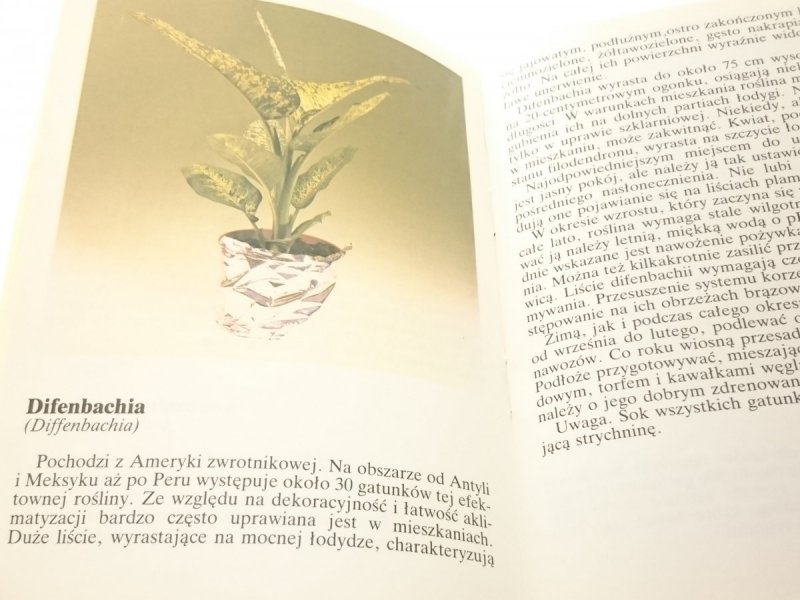 EGZOTYCZNE ROŚLINY W DOMU. UPRAWA I PIELĘGNACJA