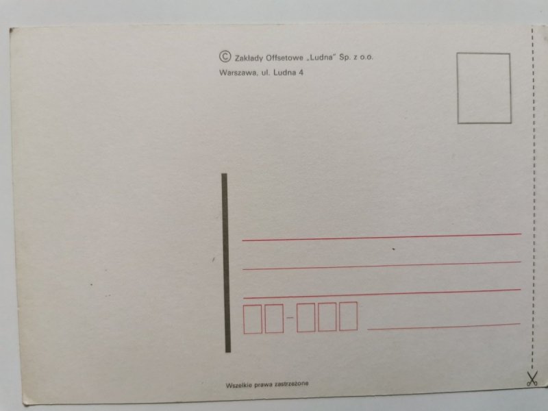PIĘKNY DACHOWIEC WĄCHAJĄCY KWIATKA