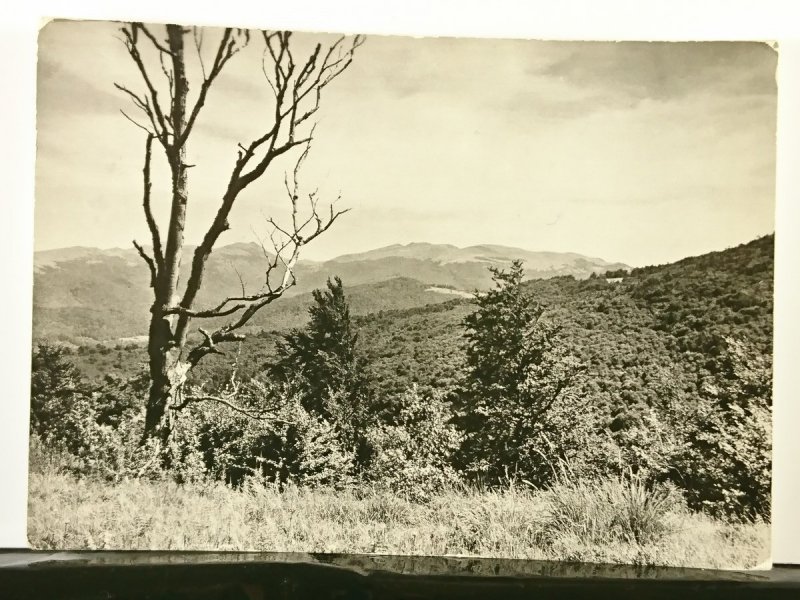 BIESZCZADY PANORAMA ZE STOKU MAGURY STUPOSIAŃSKIEJ