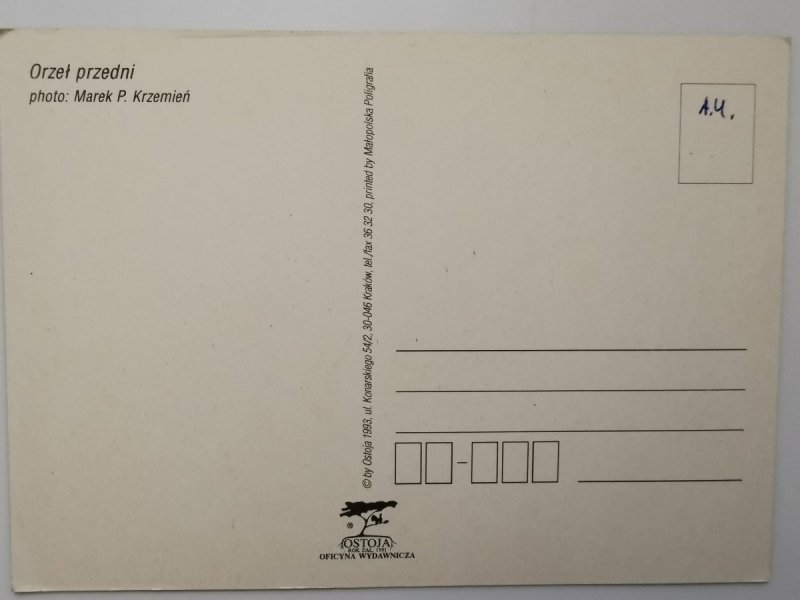 ORZEŁ PRZEDNI FOT. MAREK P. KRZEMIEŃ
