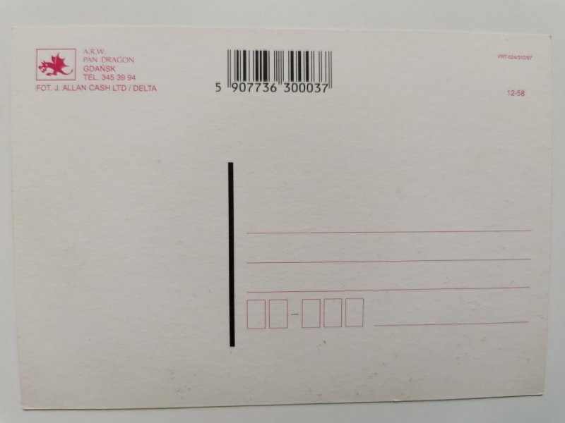 BIAŁY KOŃ NA POLANIE FOT. J. ALLAN CASH LTD