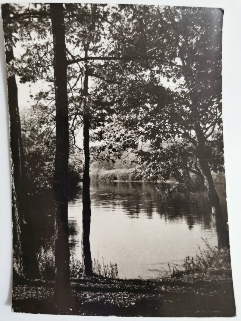 SPAŁA – NAD PILICĄ FOT. TOMCZYK