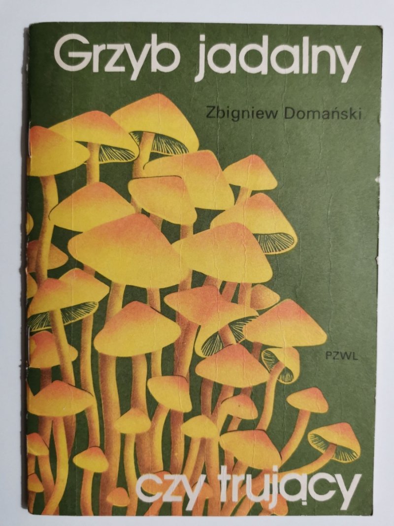 GRZYB JADALNY CZY TRUJĄCY - Zbigniew Domański