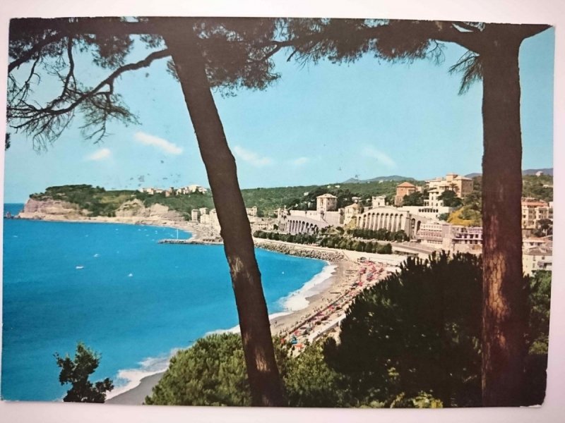 CELLE LIGURE. PANORAMA TRA I PINI
