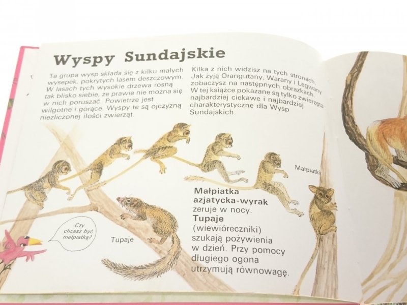 CHODŹ Z NAMI, POPATRZYMY NA OCEANIĘ - Trinkl 1990