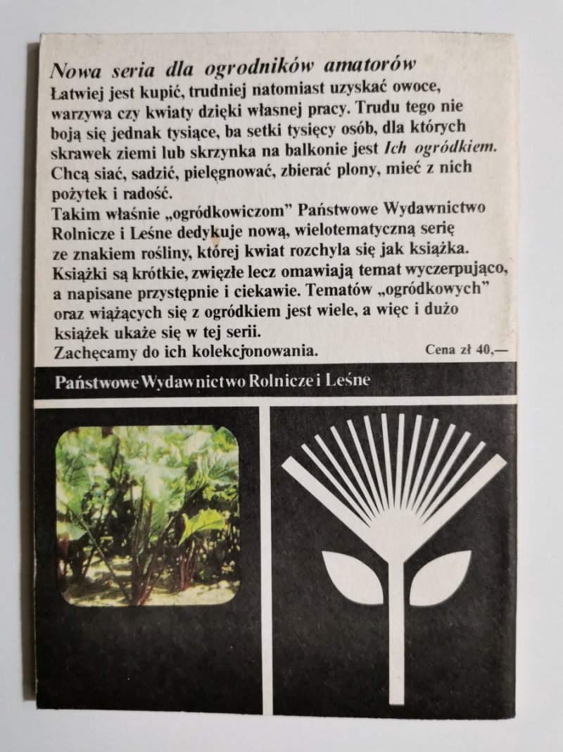 WARZYWA KORZENIOWE W OGRODZIE I W DOMU. MARCHEW, PIETRUSZKA 