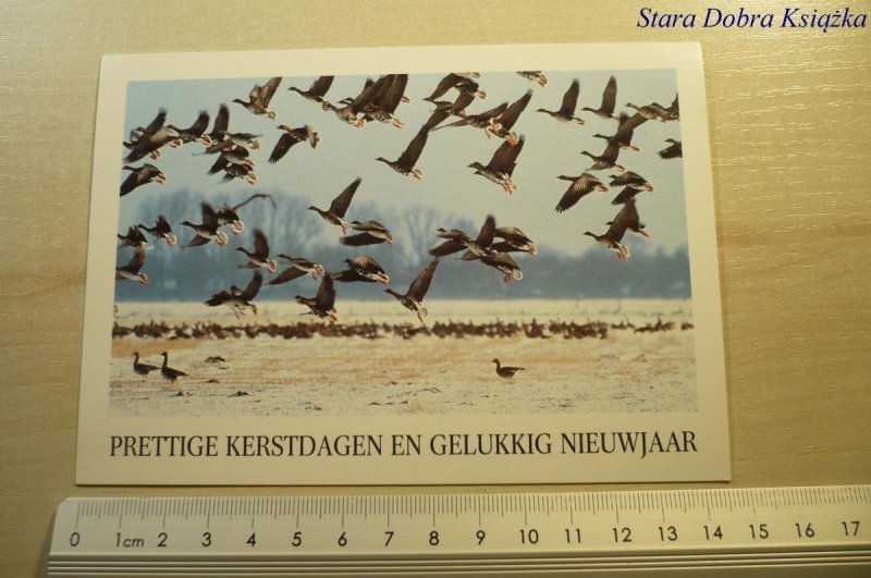 PRETTIGE KERSTDAGEN EN GELUKKIG NIEUWJAAR 4
