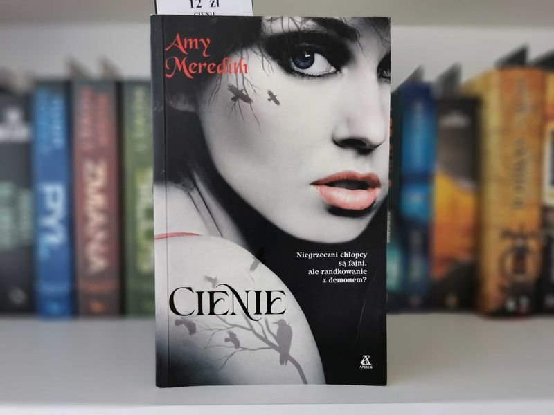 CIENIE - Amy Meredith