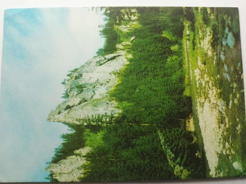 TATRY ZACHODNIE. W DOLINIE... FOT. M. RACZKOWSKI