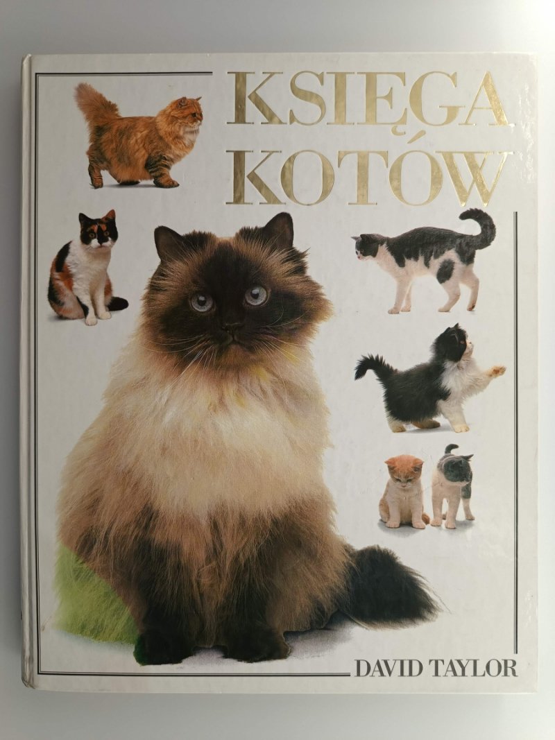 KSIĘGA KOTÓW - David Taylor