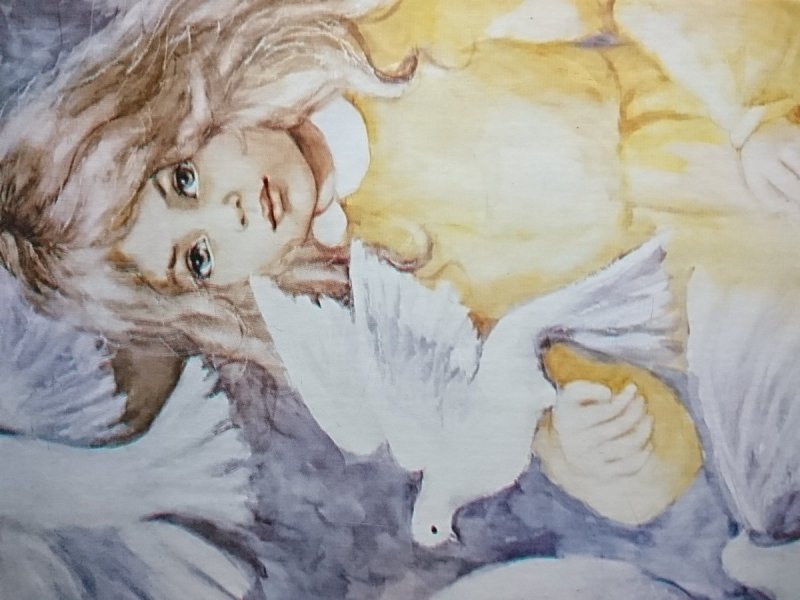 AGNIESZKA MAL. D. MUSZYŃSKA-ZAMORSKA
