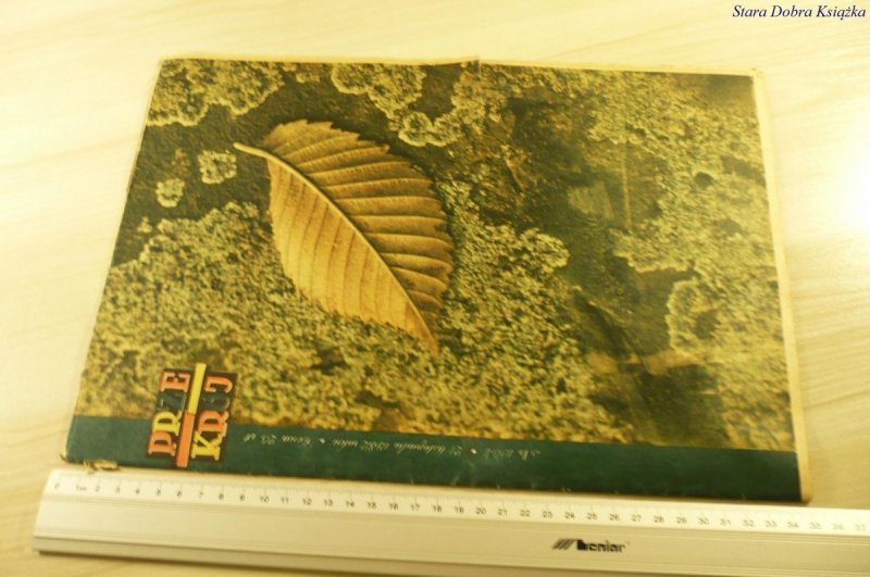 PRZEKRÓJ NR 1954 21 LISTOPADA 1982
