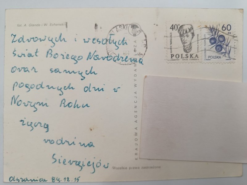 DZWONECZEK I SZYSZKA A. GLANDA