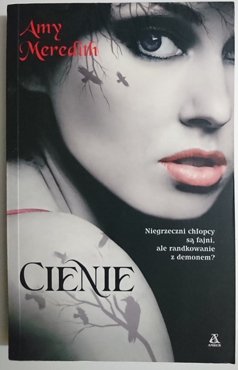 CIENIE - Amy Meredith 2010