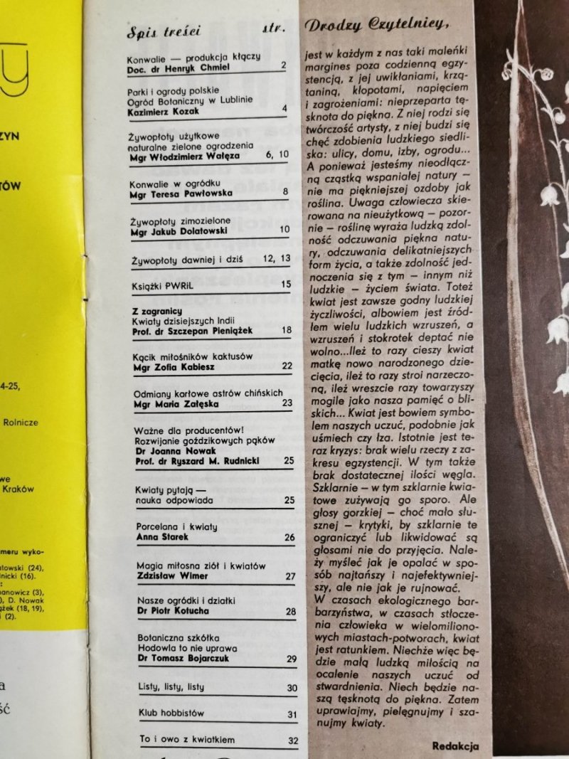KWIATY NR 1/1981