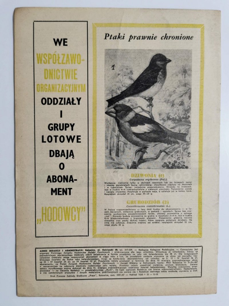 HODOWCA GOŁĘBI POCZTOWYCH NR 9  1967