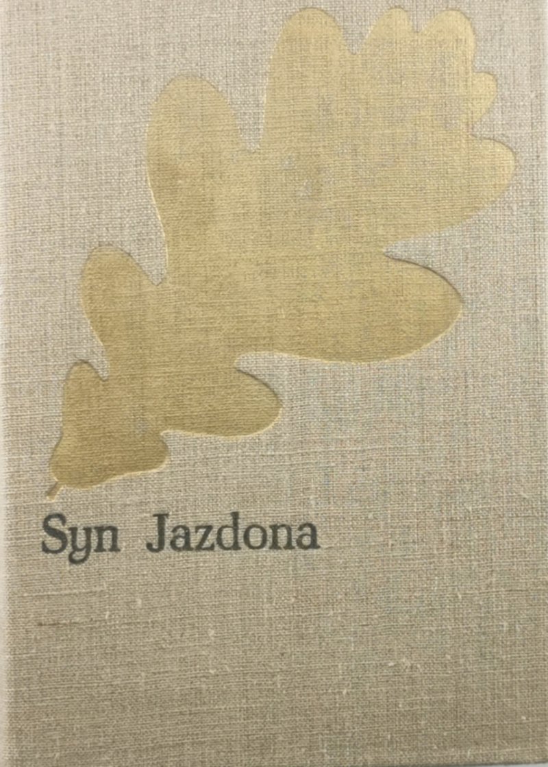 SYN JAZDONA - Józef Ignacy Kraszewski