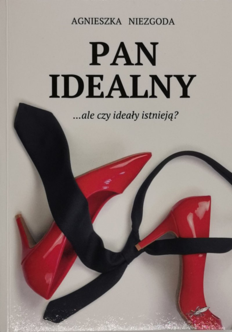 PAN IDEALNY  - Agnieszka Niezgoda
