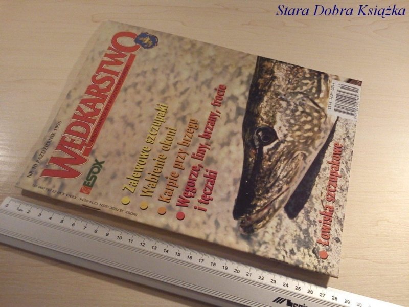 WĘDKARSTWO - WABIENIE OKONI 10/1996