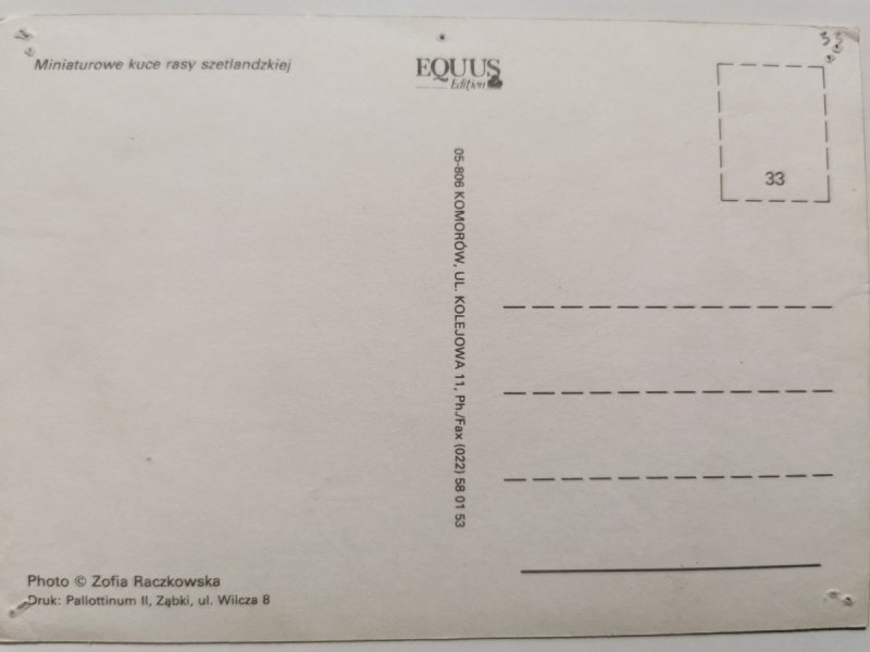 MINIATUROWE KUCE RASY SZETLANDZKIEJ FOT. RACZKOWSKA