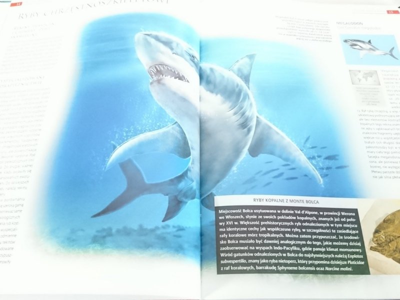 WIELKA ENCYKLOPEDIA. KRÓLESTWO ZWIERZĄT TOM 44 PREHISTORIA. DAWNE KRĘGOWCE