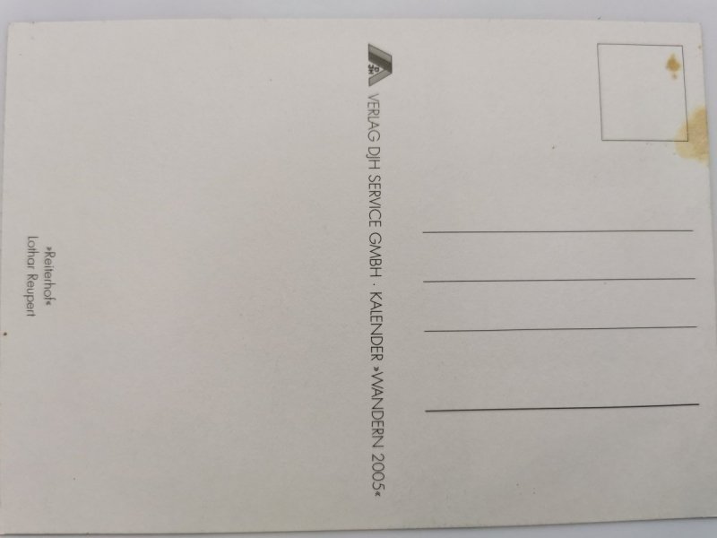 GŁOWA KONIA WYSTAJĄCA ZE STAJNI FOT. REUPERT