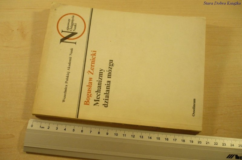 MECHANIZMY DZIAŁANIA MÓZGU Bogusław Żernicki 1980