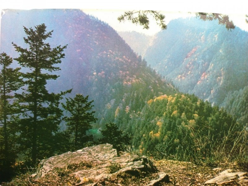 PIENINY. FOT. T. BLIŃSKI