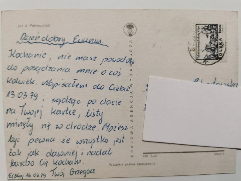 KOTEK NA PŁOCIE. ZDJĘCIE ARTYSTYCZNE FOT. PAKUSZYŃSKI
