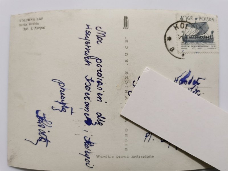 KOLUMNA LAS. RZEKA GRABIA FOT. KORPAL