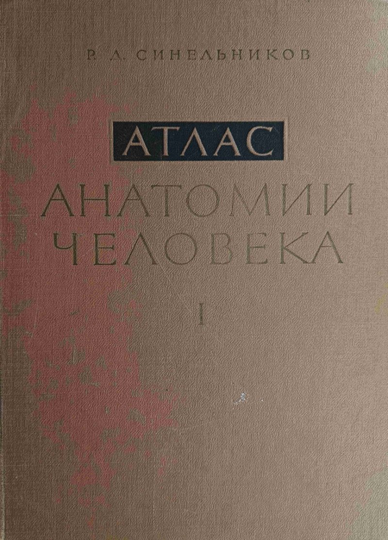 ATLAS ANATOMII CZŁOWIEKA TOM I - R. D. Sinelnikov