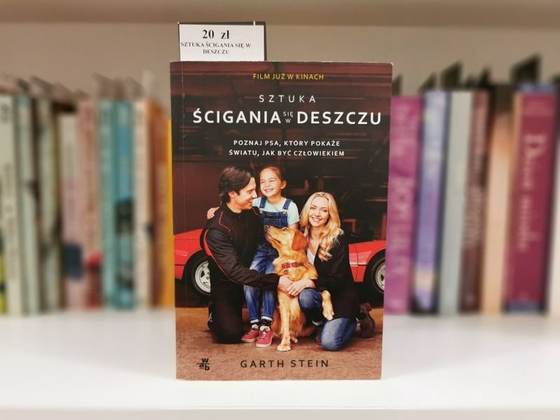 Sztuka ścigania się w deszczu - Garth Stein