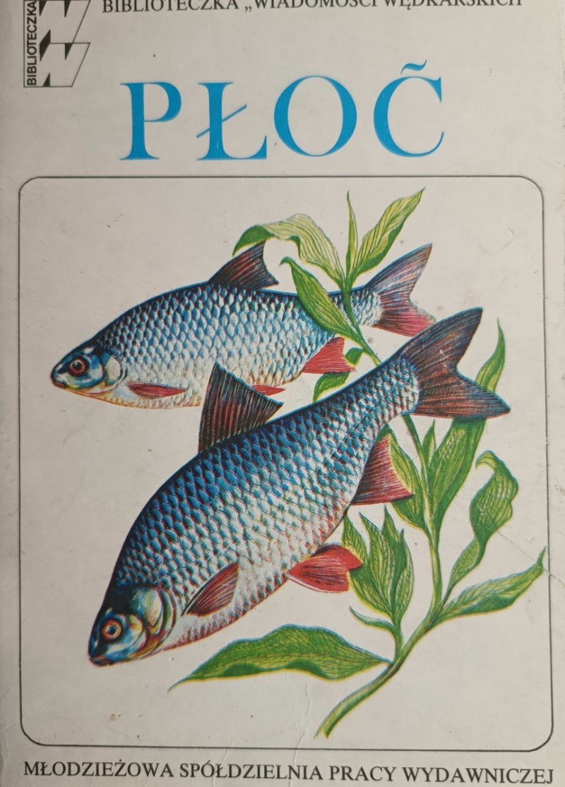 PŁOĆ - Piotr Borkowski