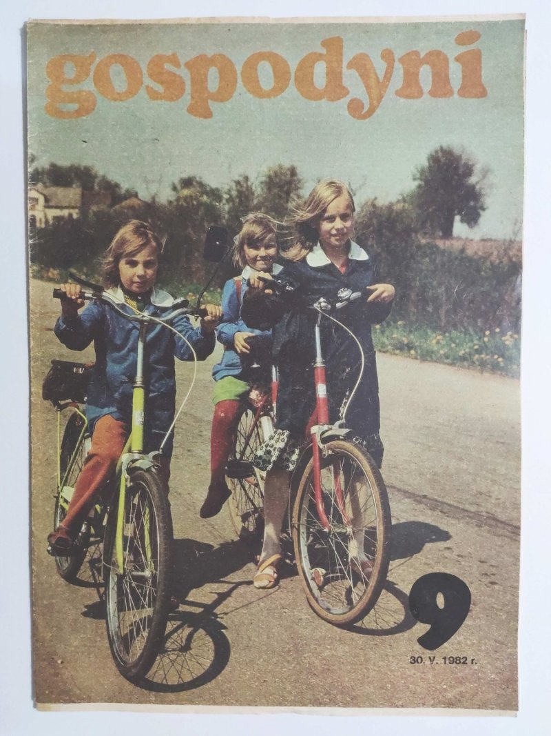 GOSPODYNI 9/1982