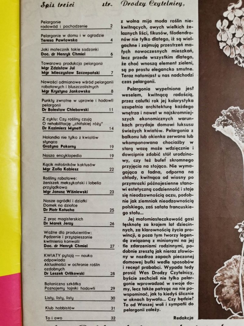 KWIATY NR 2/1981