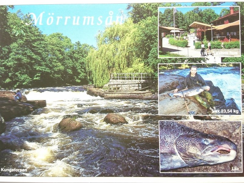 MORRUMSAN