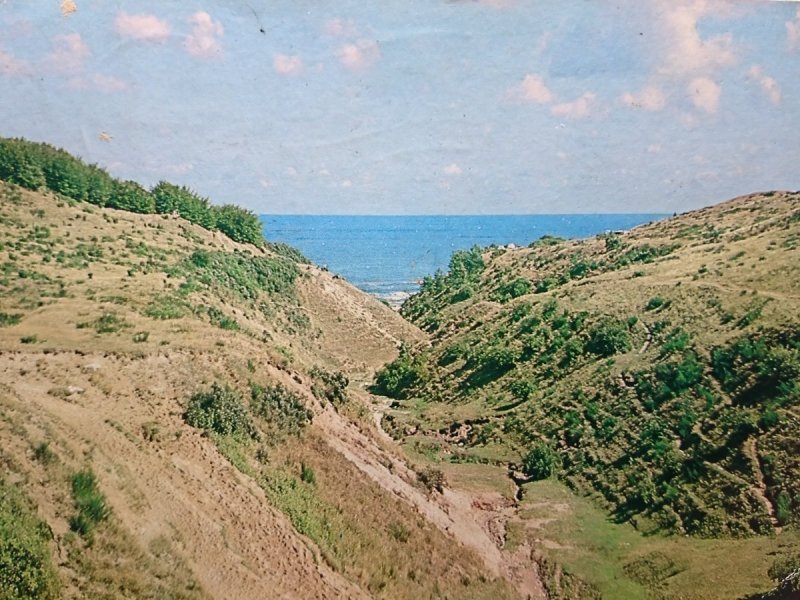 WĄWÓZ 'GĄSI JAR' FOT. M. RACZKOWSKI