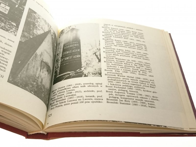 CMENTARZ ŁYCZAKOWSKI WE LWOWIE - St. Nicieja 1989