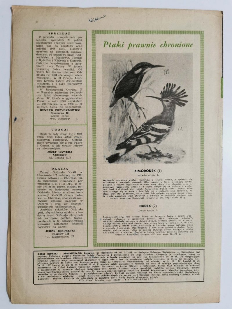 HODOWCA GOŁĘBI POCZTOWYCH NR 3 1968
