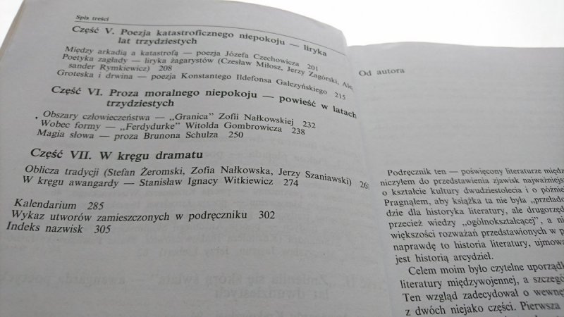LITERATURA POLSKA DWUDZIESTOLECIA... - Wroczyński