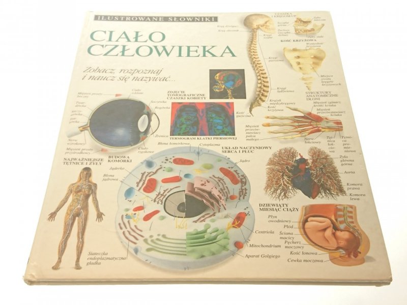 ILUSTROWANE SŁOWNIKI. CIAŁO CZŁOWIEKA 1995