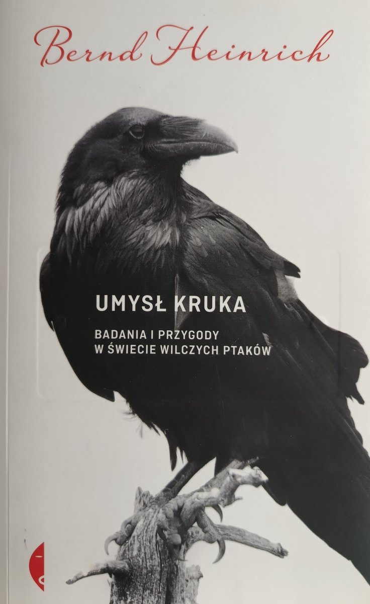 UMYSŁ KRUKA BADANIA I PRZYGODY W ŚWIECIE WILCZYCH PTAKÓW - Bernd Heinrich