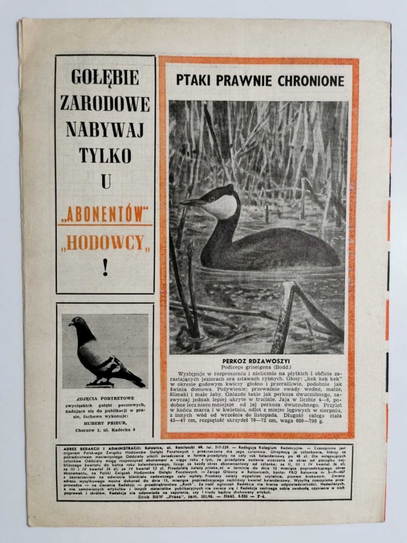HODOWCA GOŁĘBI POCZTOWYCH NR 2 1965