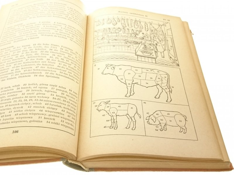 BILDWORTERBUCH DETUSCH UND POLNISCH 1954