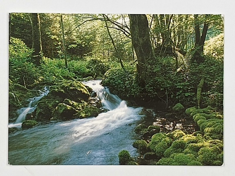 GERMANY FOTOKUNST GROH WORTHSEE