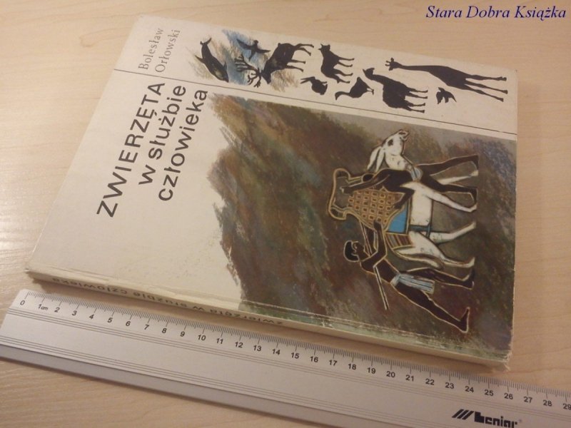 ZWIERZĘTA W SŁUŻBIE CZŁOWIEKA - B. Orłowski