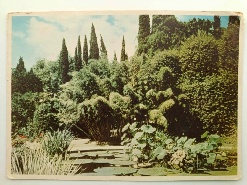 JAŁTA NIKITSKI OGRÓD BOTANICZNY