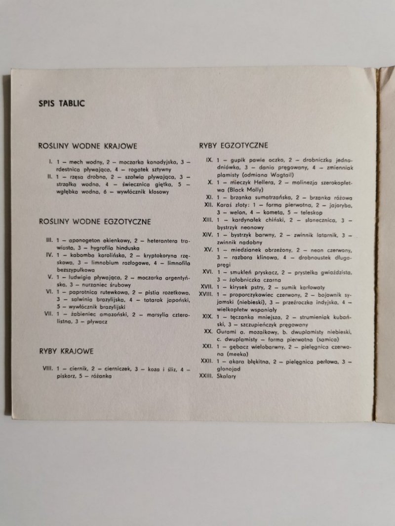AKWARIUM I JEGO MIESZKAŃCY - Mirosław Huszcz 1984